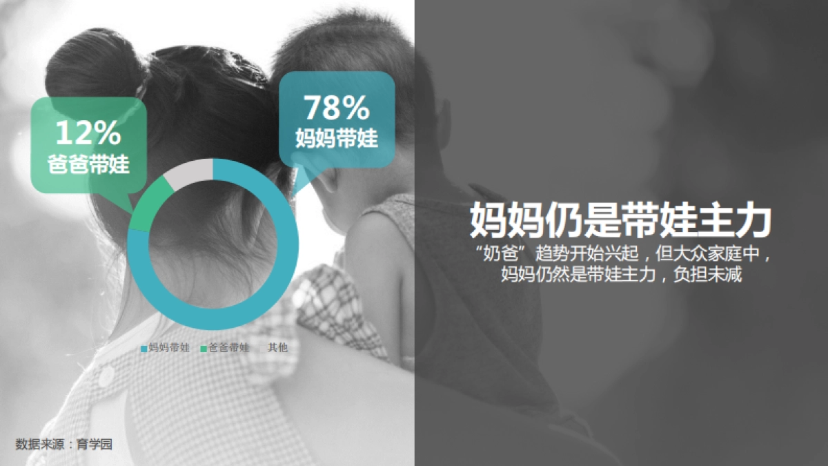 美赞臣蓝臻数字营销计划思路_第7页