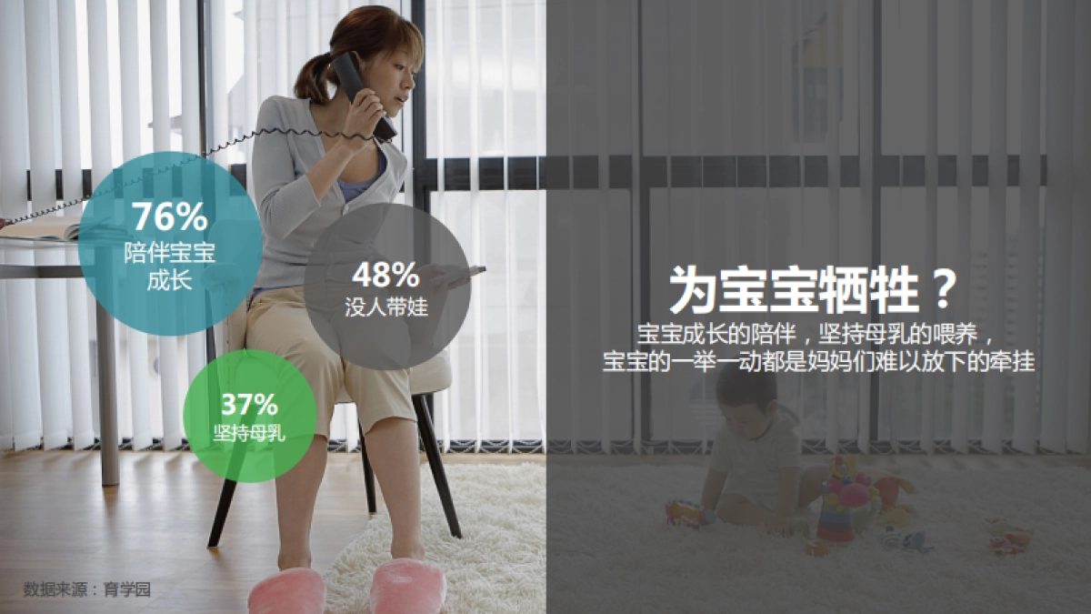 美赞臣蓝臻数字营销计划思路_第9页