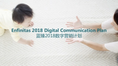 美赞臣蓝臻数字营销计划思路