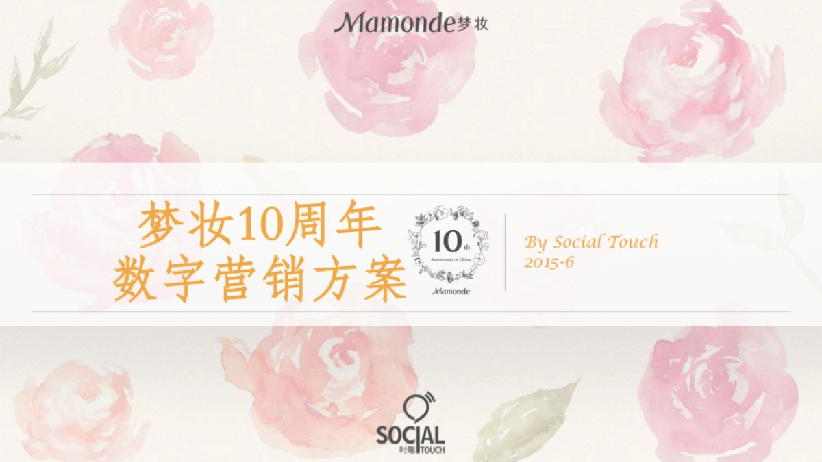 梦妆10周年数字营销方案_第1页
