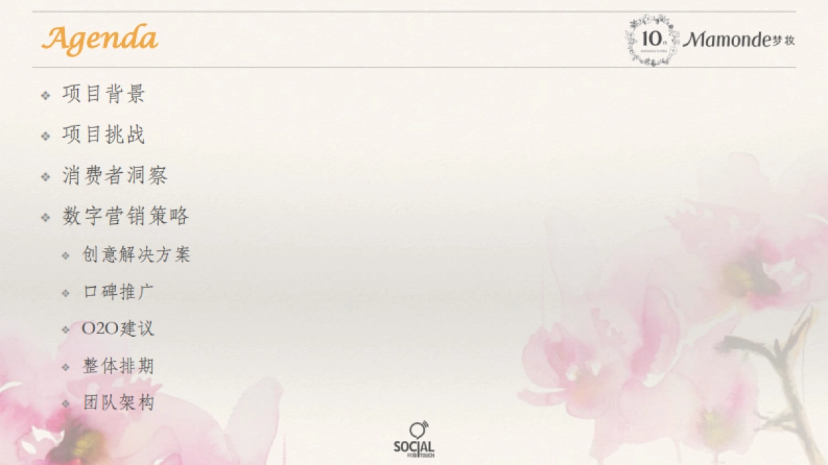 梦妆10周年数字营销方案_第2页