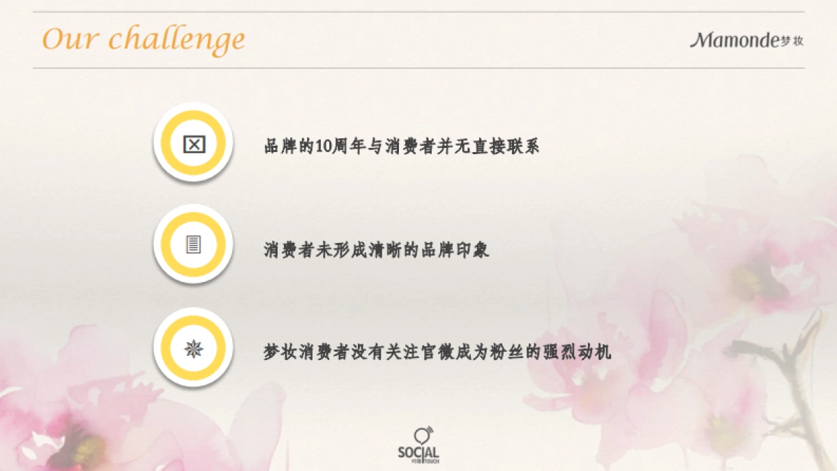 梦妆10周年数字营销方案_第5页