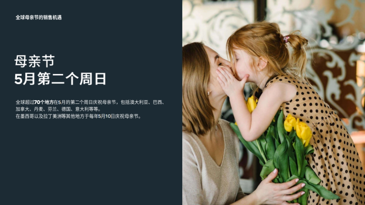 母亲节大促营销手册-107页_第5页