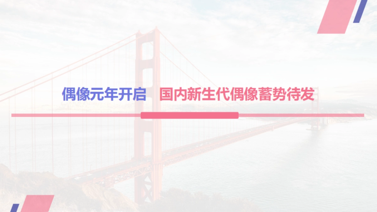 偶像营销资源介绍_第4页