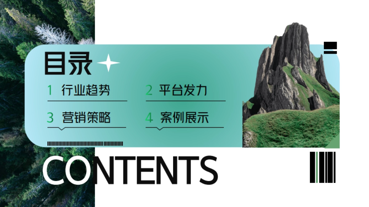 去哪儿2024年营销通案_第2页