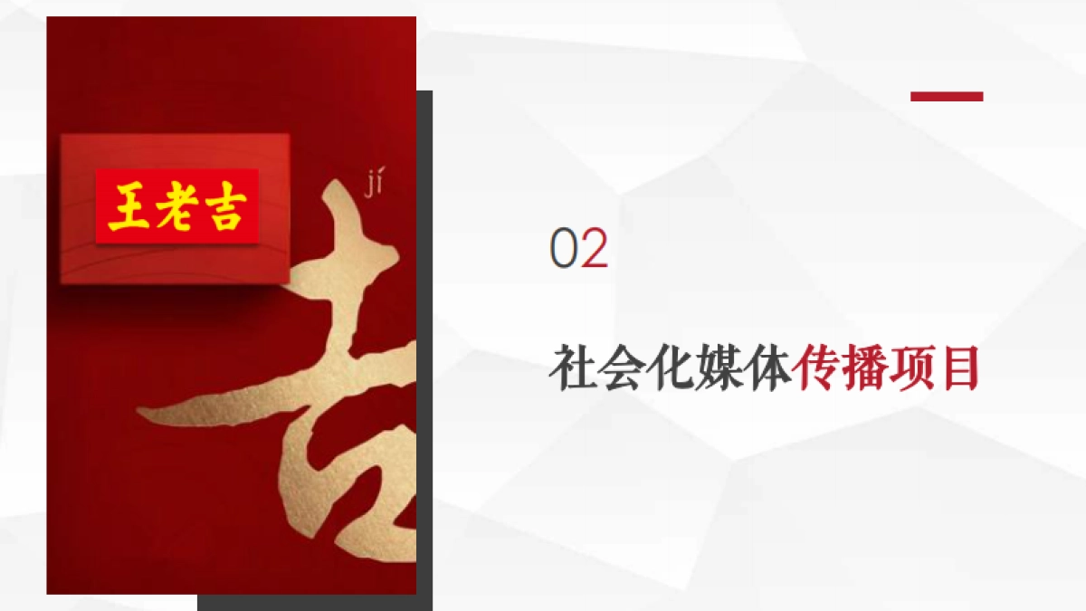 王老吉年社会化营销方案_第10页