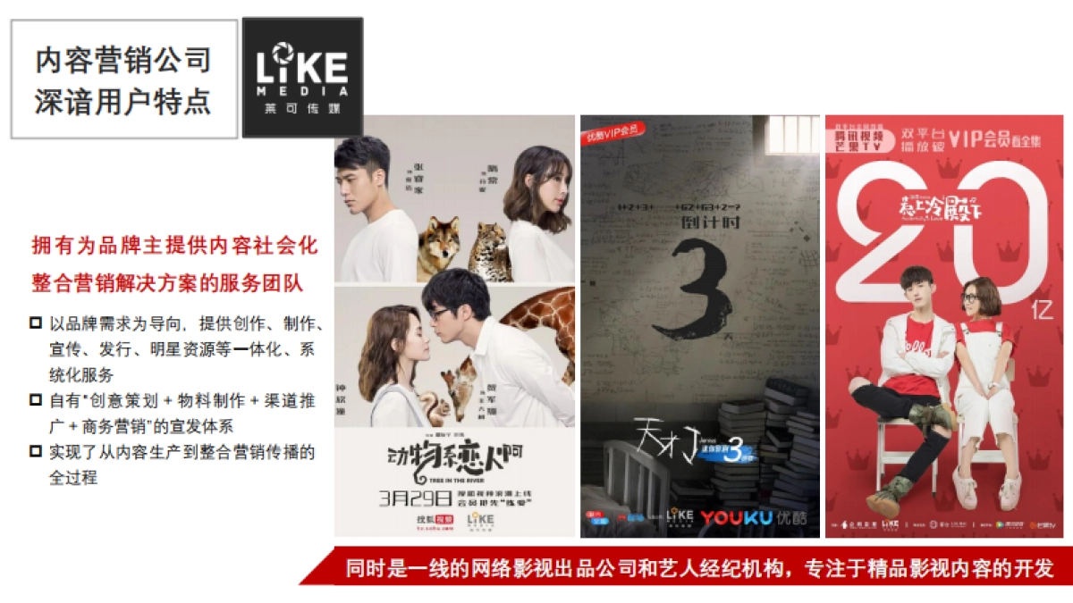 王老吉年社会化营销方案_第3页