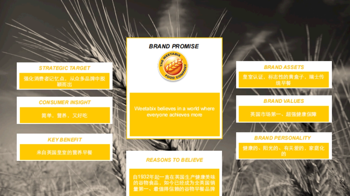 维多麦-2017数字营销方案 媒体&预算部分 _第4页