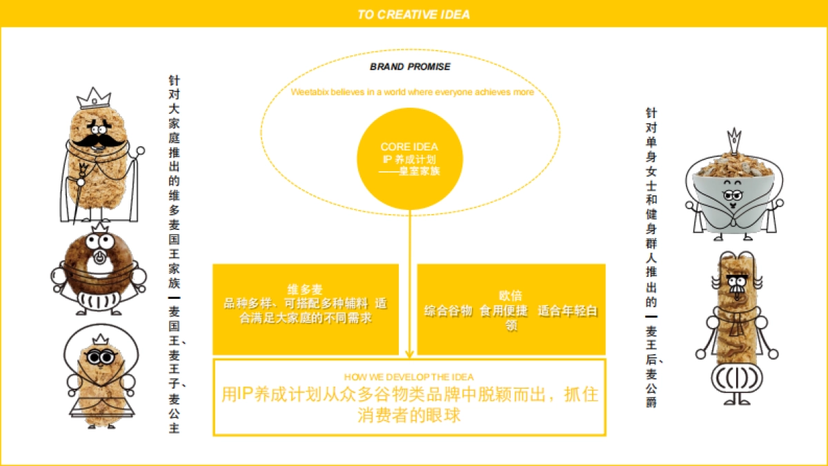 维多麦-2017数字营销方案 媒体&预算部分 _第5页