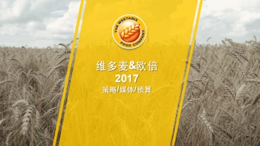 维多麦-2017数字营销方案 媒体&预算部分 