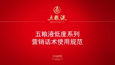 五粮液低度系列营销话术使用规范