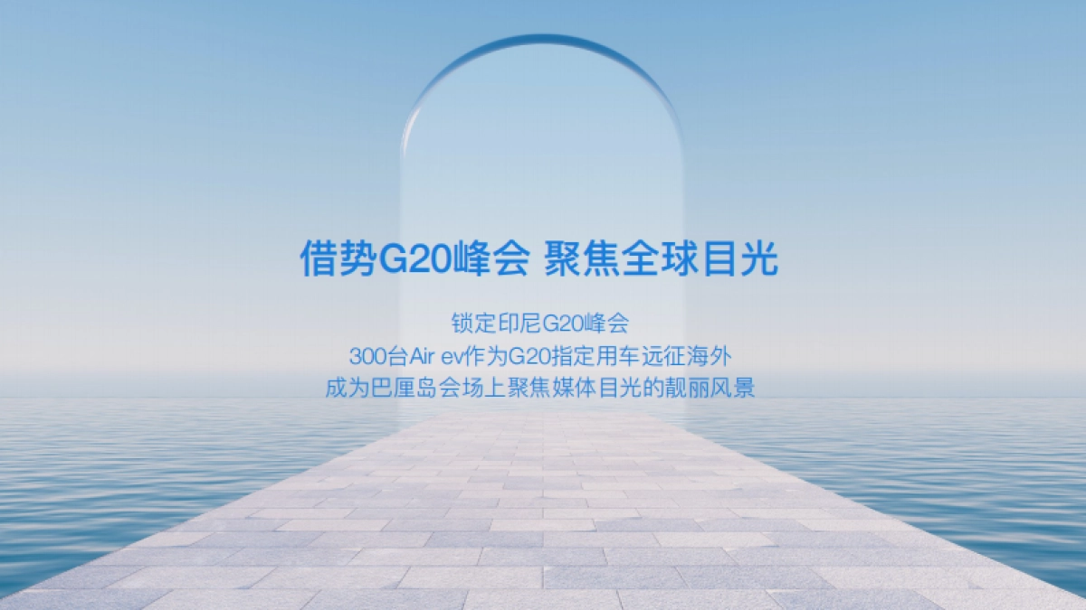 五菱Air海外营销_第9页