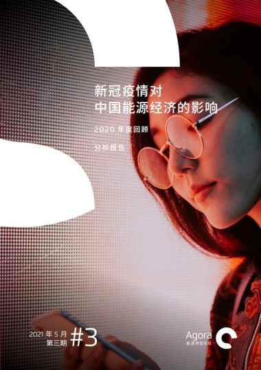 新冠疫情对中国能源经济的影响（2020年度回顾）