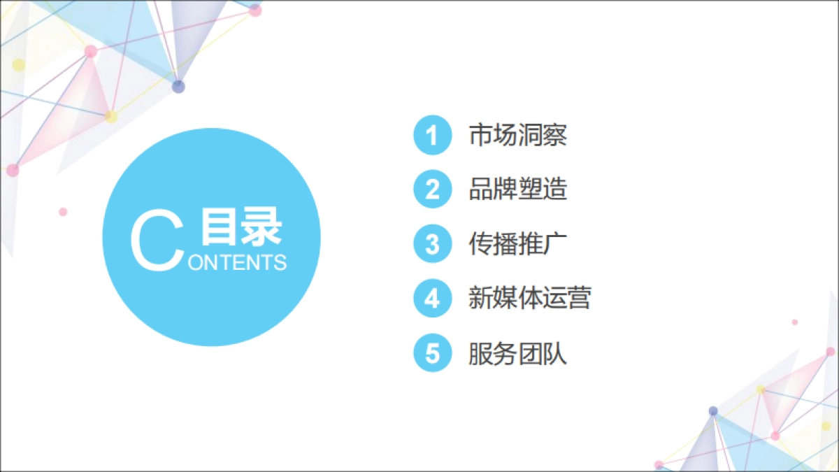 宜栖孕产内衣社会化营销方案终稿_第2页