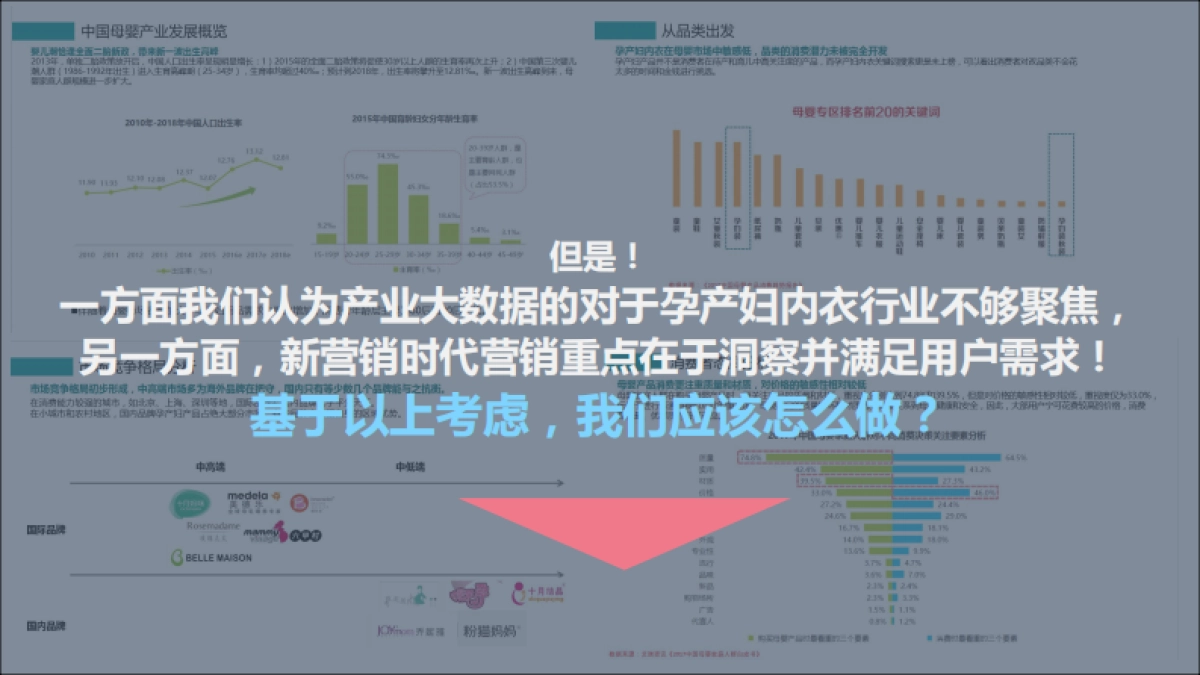 宜栖孕产内衣社会化营销方案终稿_第5页