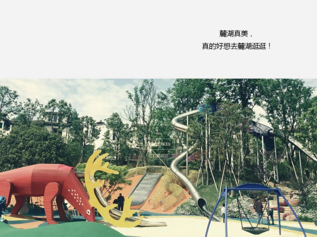 优联堂-麓湖产业项目营销策略汇报_第5页