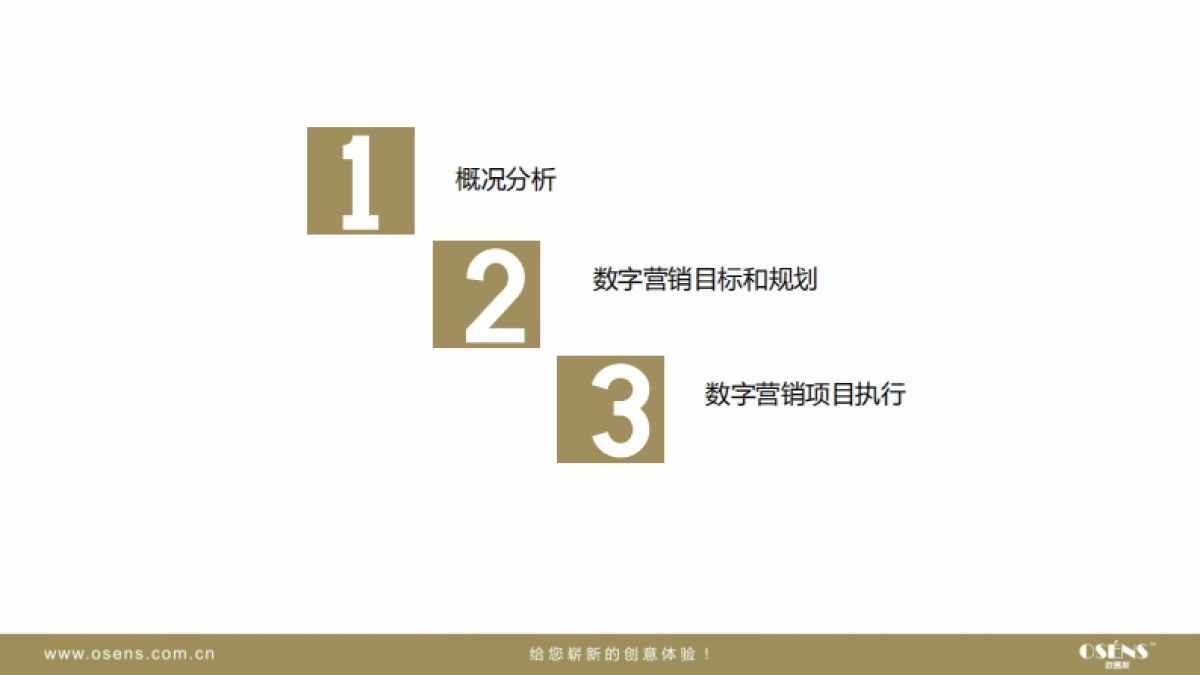 友金所数字营销方案-osens_第2页