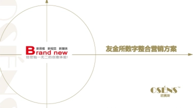 友金所数字营销方案-osens