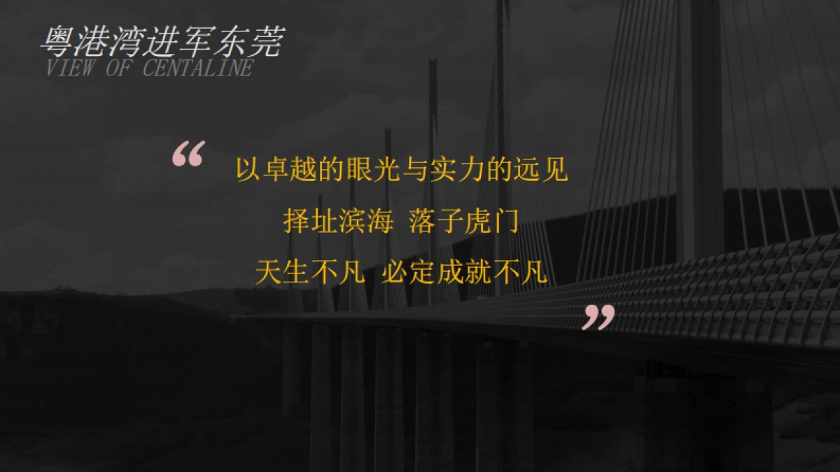 粤港湾·柏龙湾营销拓盘方案_第2页