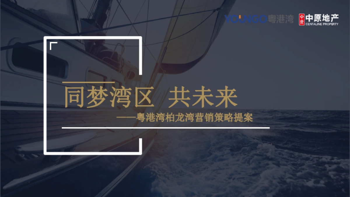 粤港湾·柏龙湾营销拓盘方案_第9页