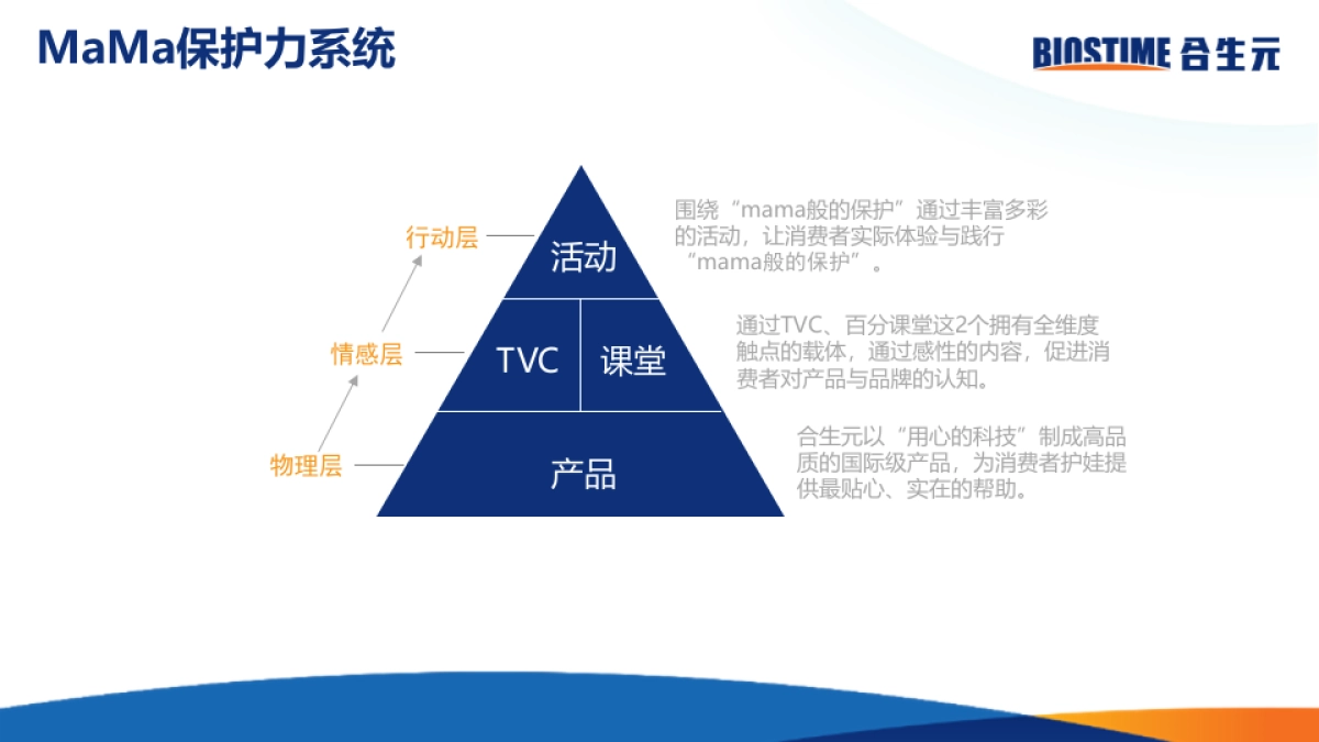 合生元2017数字营销_第10页