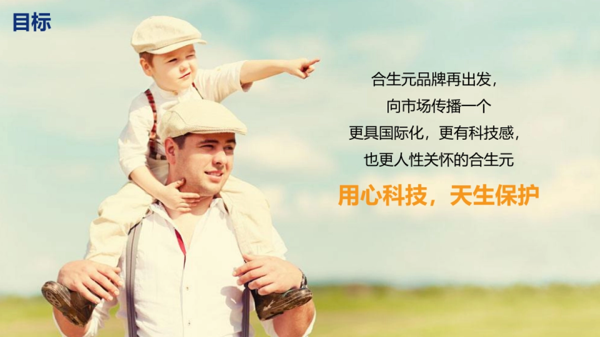 合生元2017数字营销_第2页