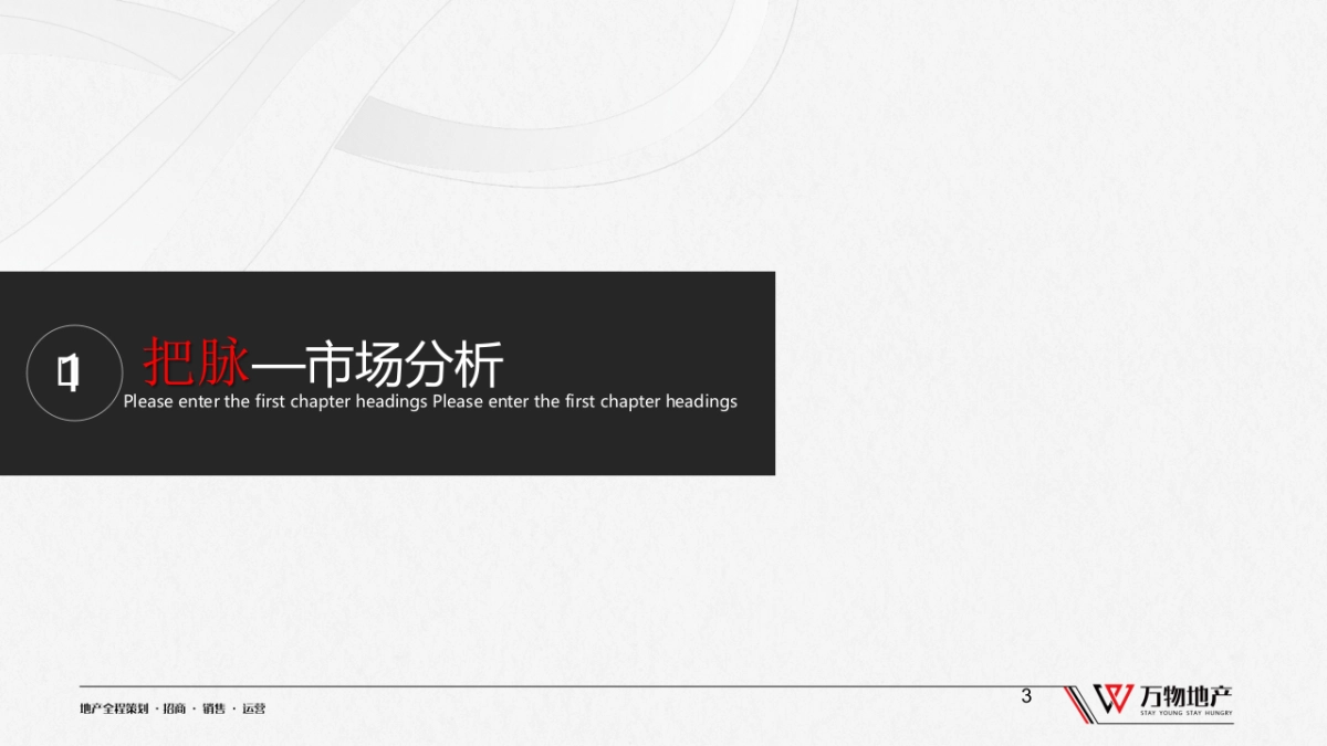 衡东·江山御景营销策略提报_第3页