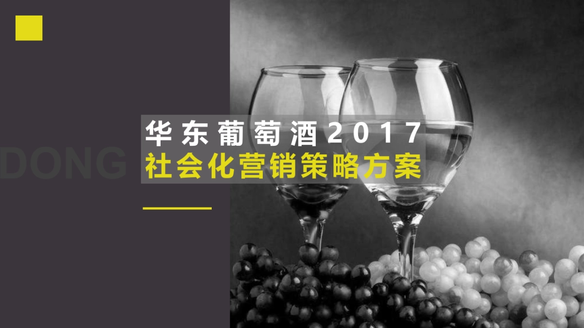 华东葡萄酒社会化营销方案_第1页