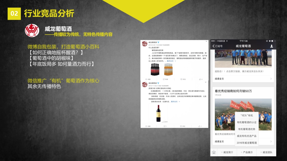 华东葡萄酒社会化营销方案_第7页
