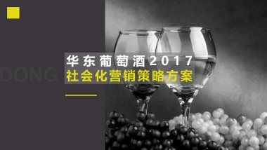 华东葡萄酒社会化营销方案