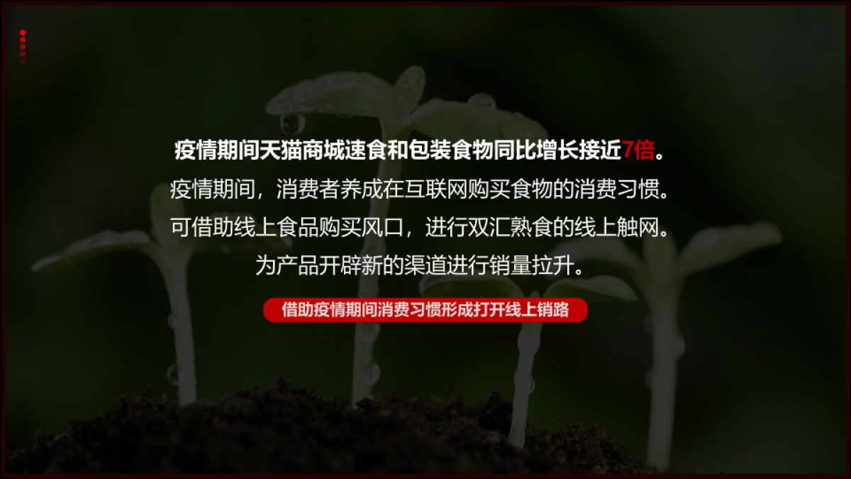 「双汇熟食」系列代言人营销_第5页