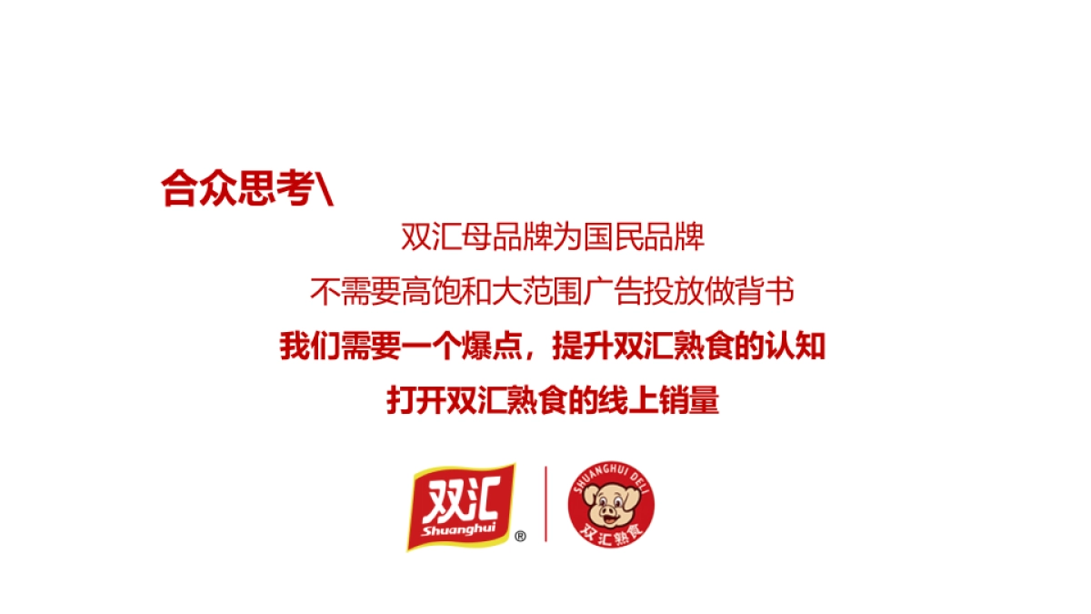 「双汇熟食」系列代言人营销_第6页