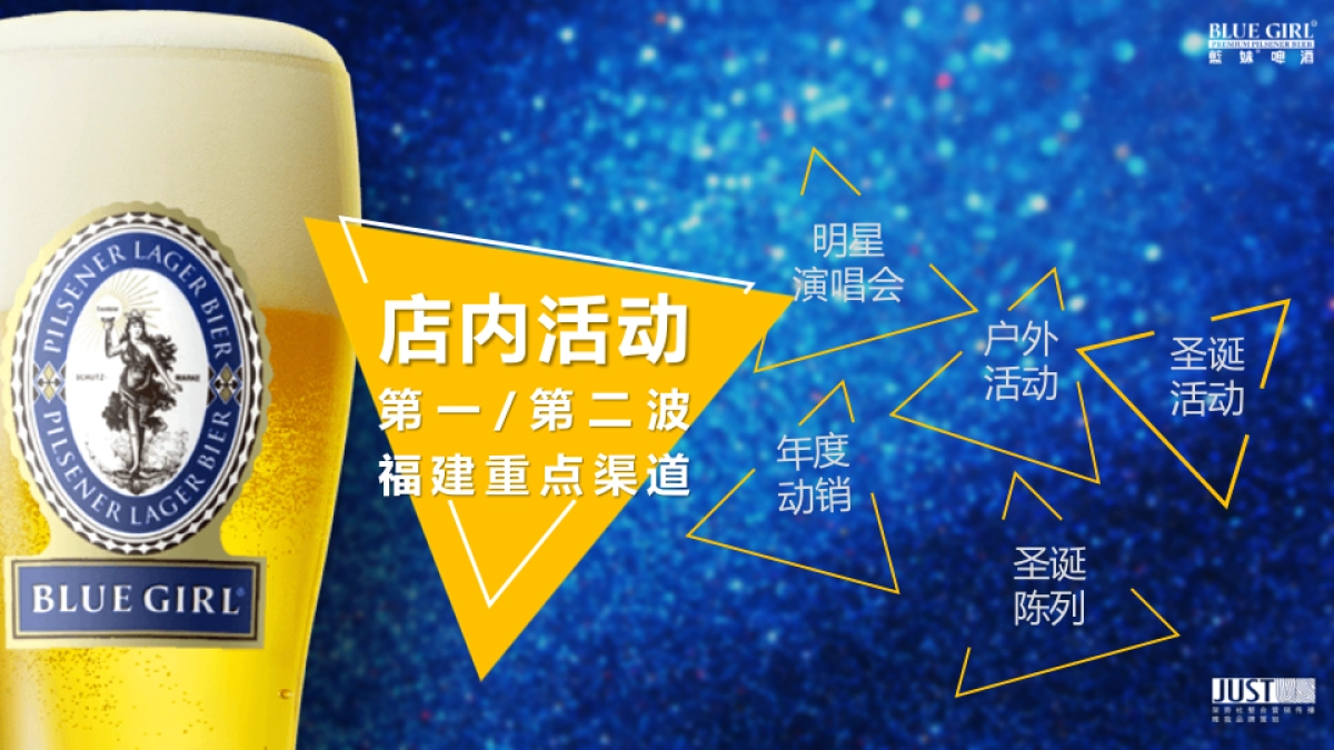 2017蓝妹啤酒年度计划规划方案_第10页