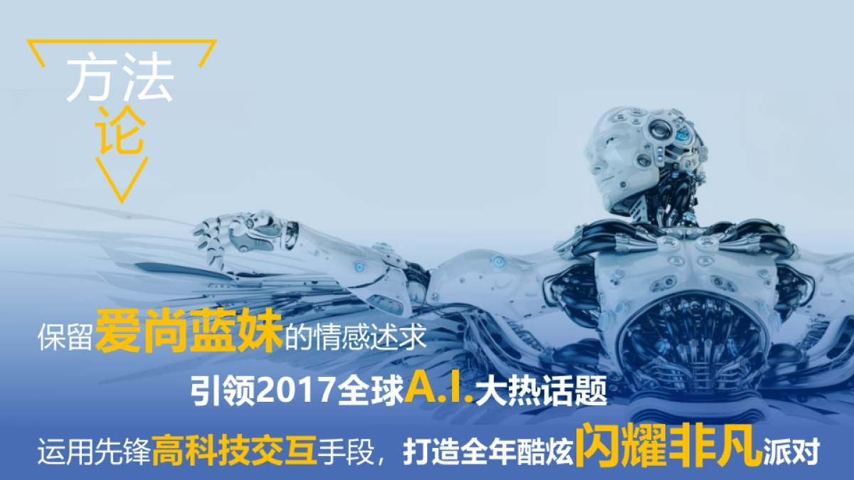 2017蓝妹啤酒年度计划规划方案_第3页