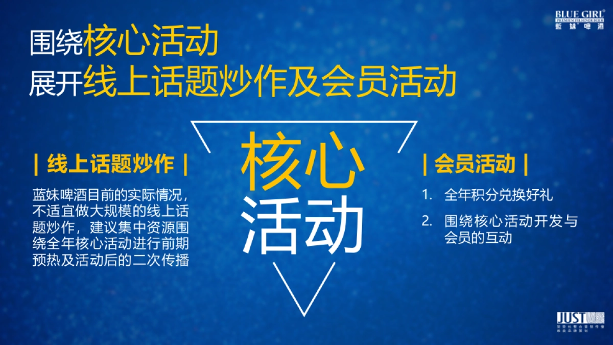 2017蓝妹啤酒年度计划规划方案_第7页