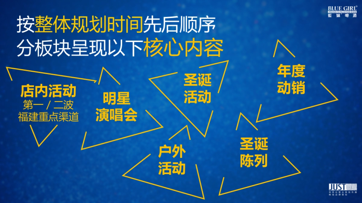 2017蓝妹啤酒年度计划规划方案_第8页