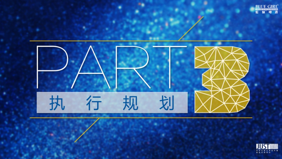 2017蓝妹啤酒年度计划规划方案_第9页