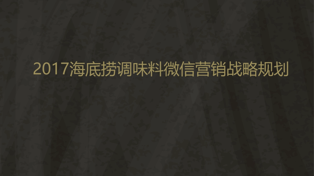2017省广-海底捞微营销战略规划 _第2页