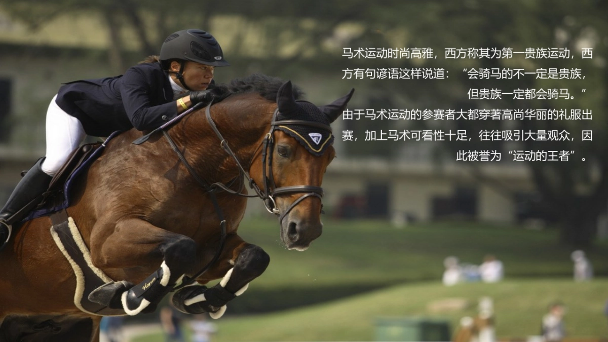 2017御长白营销中心开放活动方案_第9页