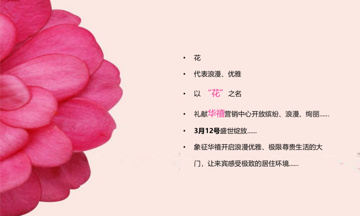 2019年华禧营销中心开放_第2页