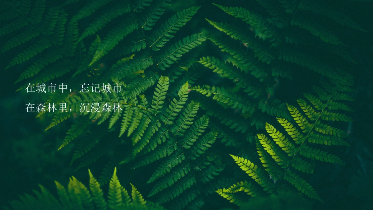 2020营销中心盛大开放暨·珍稀植物标本展活动策划方案_第5页