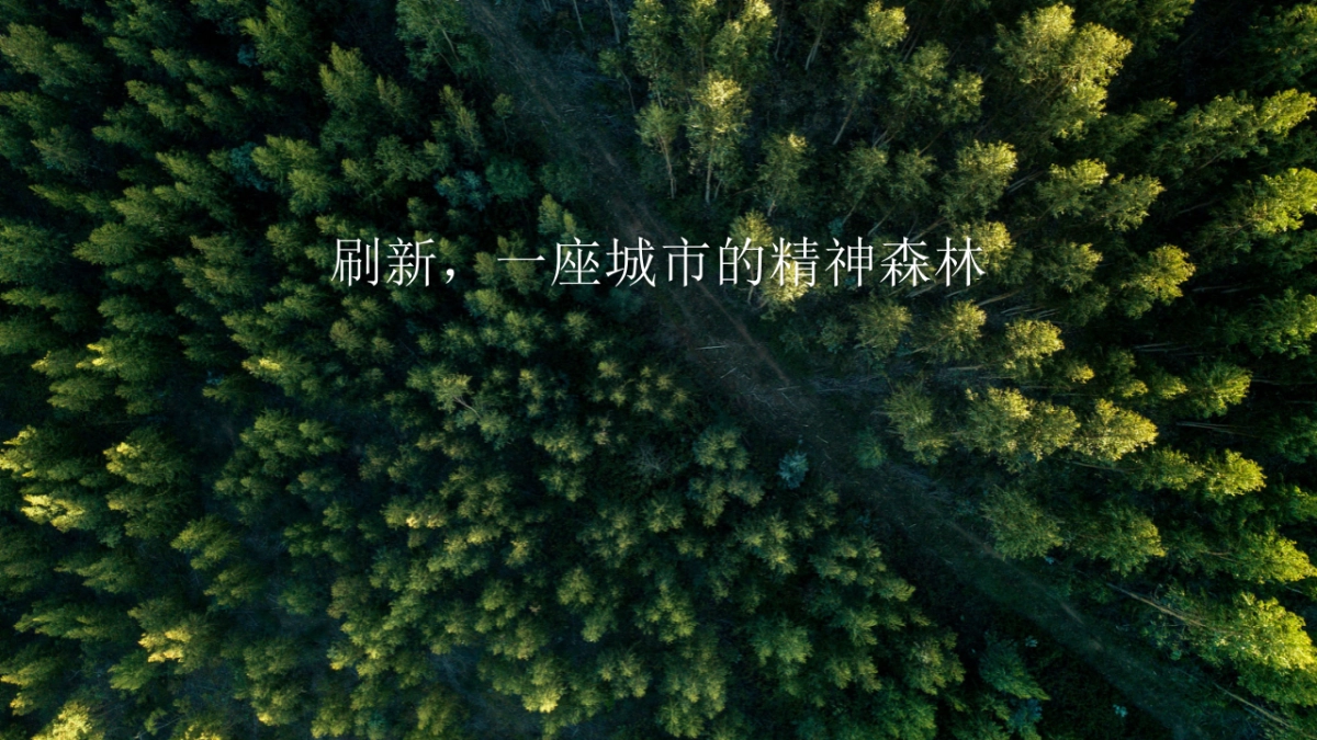 2020营销中心盛大开放暨·珍稀植物标本展活动策划方案_第6页