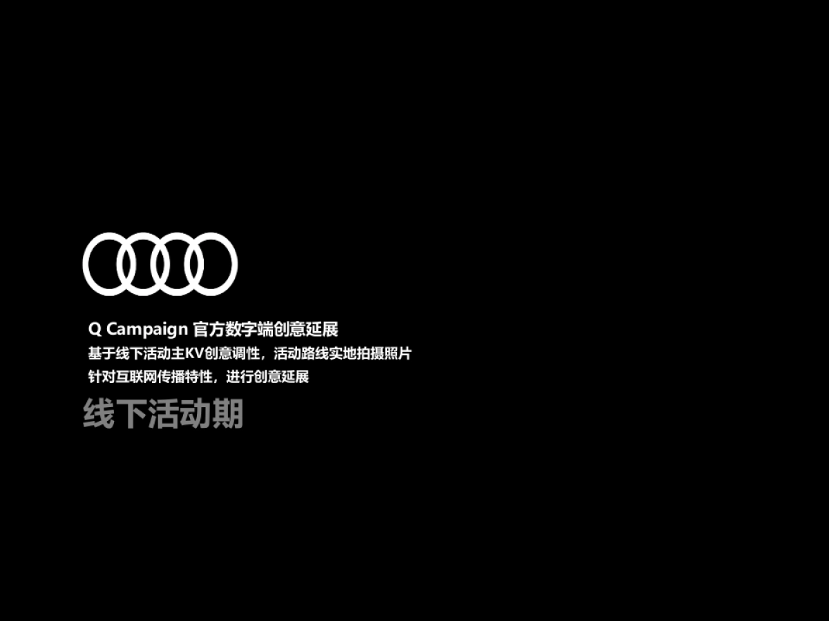 Audi Q Campaign 互动营销方案_第5页
