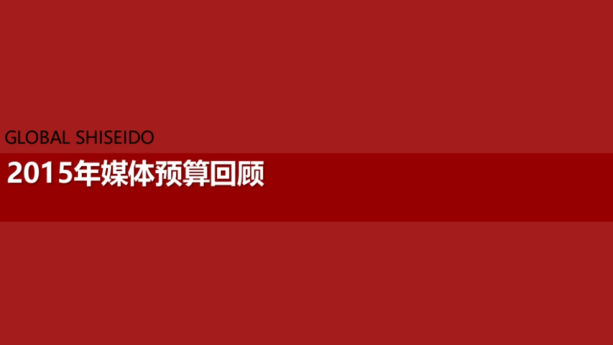 GLS X年度预算分配方案_第2页