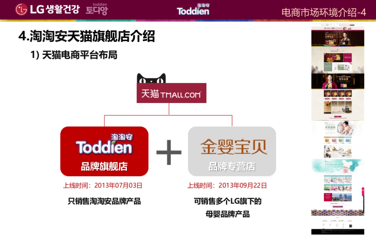 LG淘淘安系列产品互联网营销规划_第9页