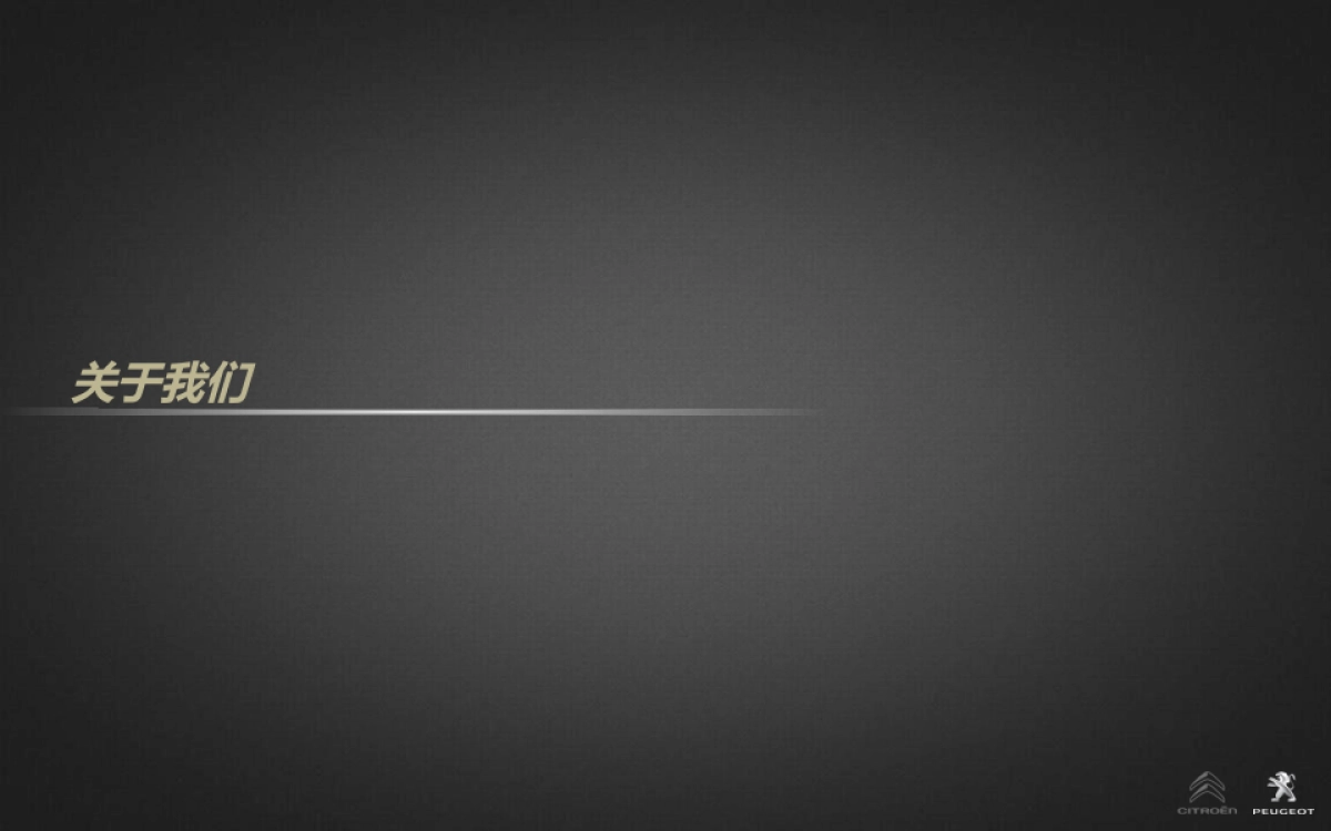 东风雪铁龙C84&标致4008东区年度规划_第4页