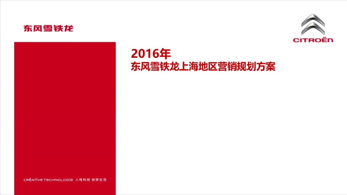 东雪上海地区年营销规划方案_第1页