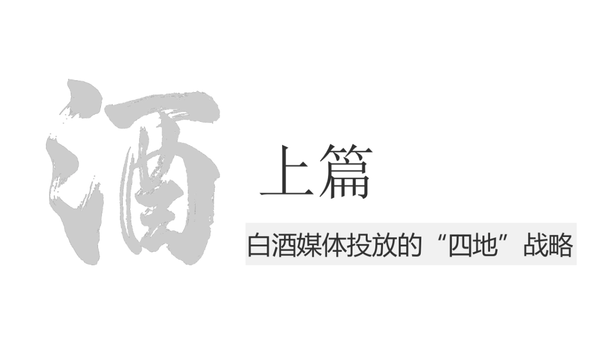 贵牌酒业媒介投放年度建议方案_第2页