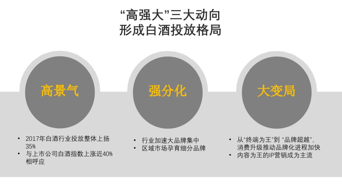 贵牌酒业媒介投放年度建议方案_第3页