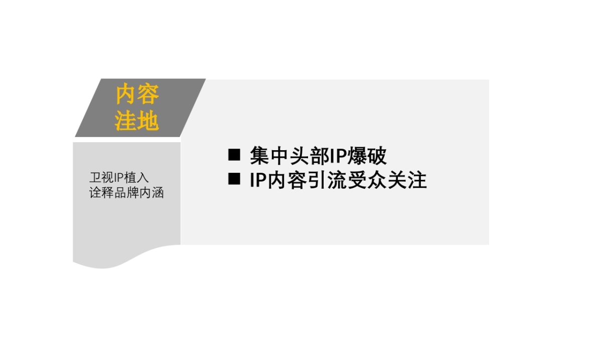 贵牌酒业媒介投放年度建议方案_第9页